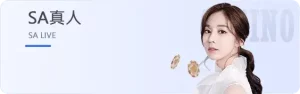 百家樂預測心得分享：從初學者到高手的轉變